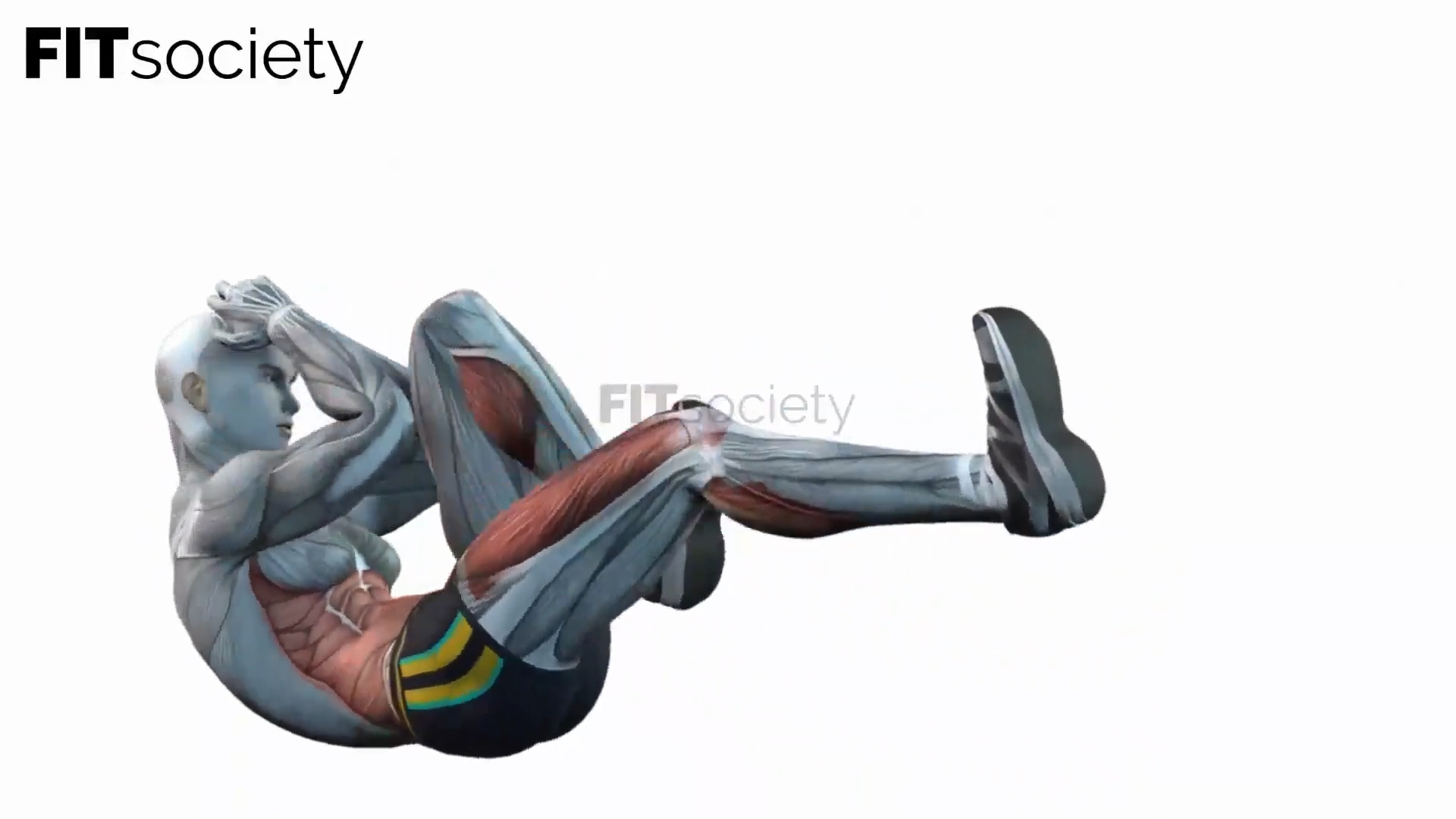 Bicycles Crunches