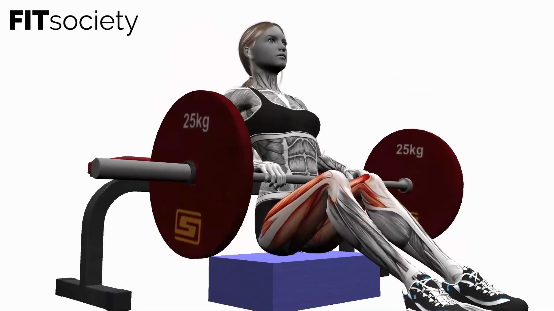 Barbell Hip Thrust