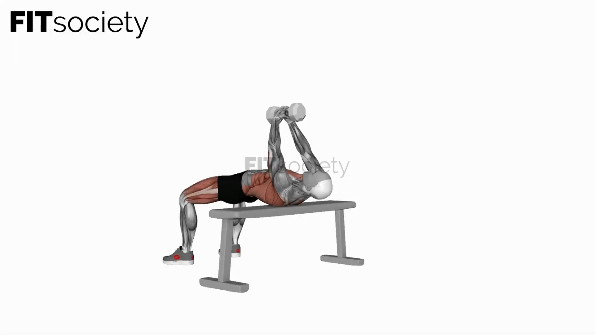 Dumbbell Pullover