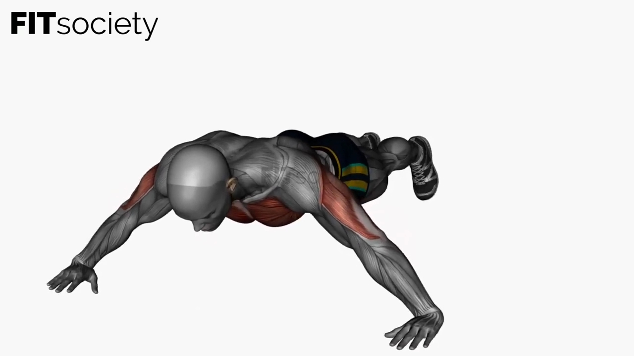 Wide Push Ups Bodyweight