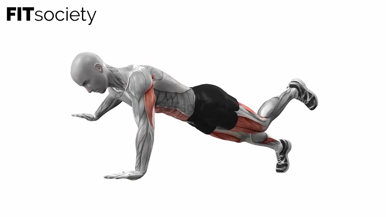 Alternate Arm Leg Plank