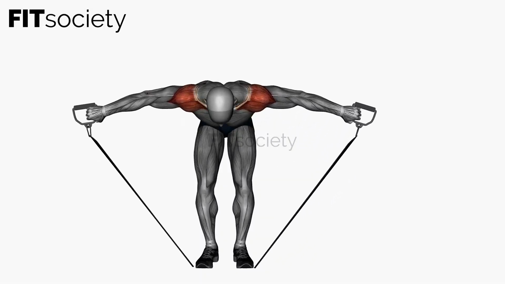 Bent Over Rear Deltoid Fly Resistance Band