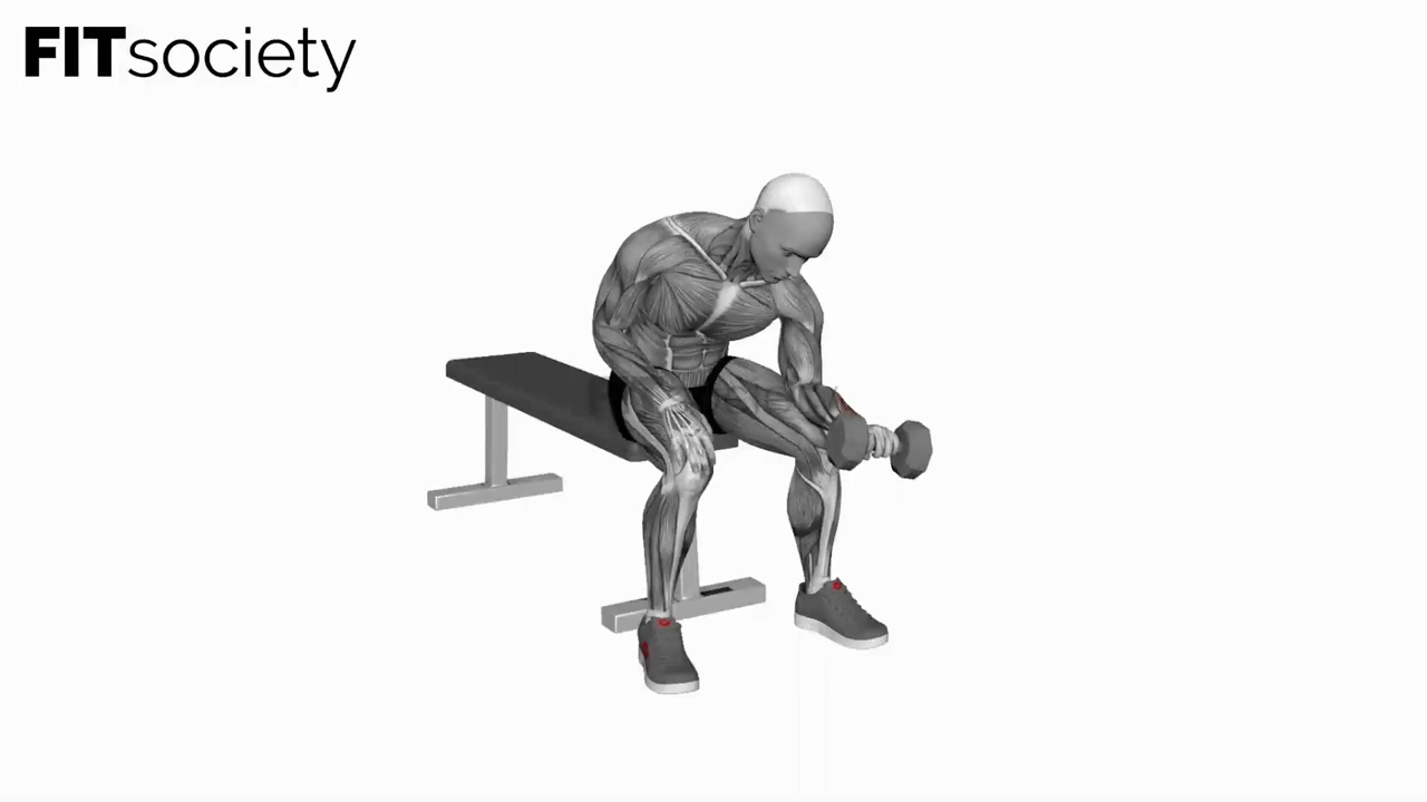 Dumbbell One Arm Revers Wrist Curl
