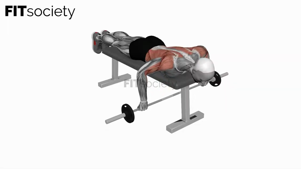 Cambered Bar Lying Row