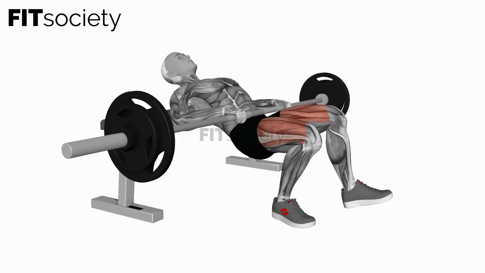 Hip thrust unilatéral avec barre