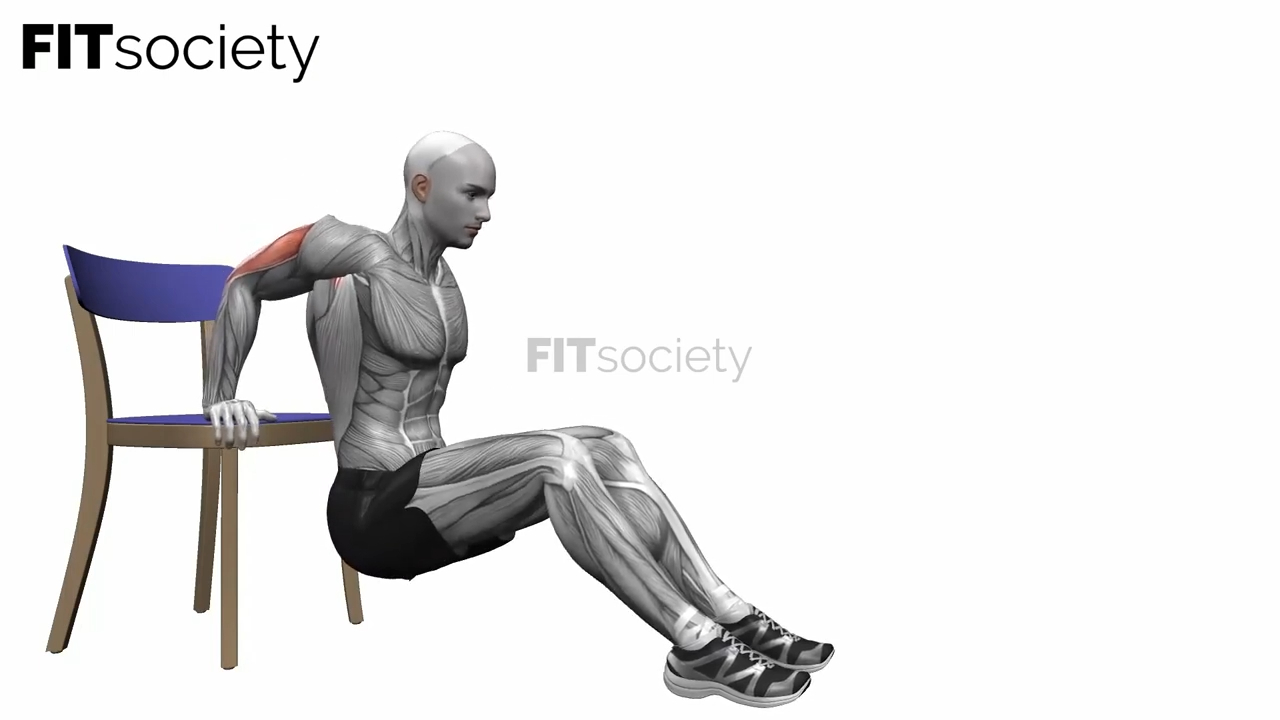 Chair Triceps Dips