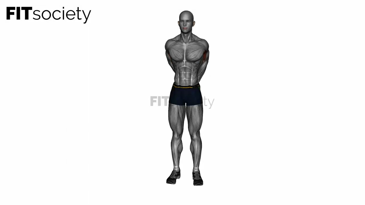 Biceps Stretch Behind The Back