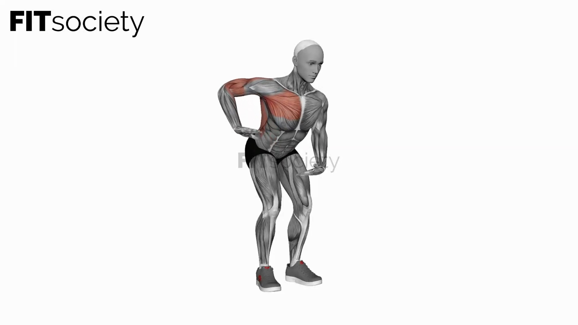 Chest Pull Back