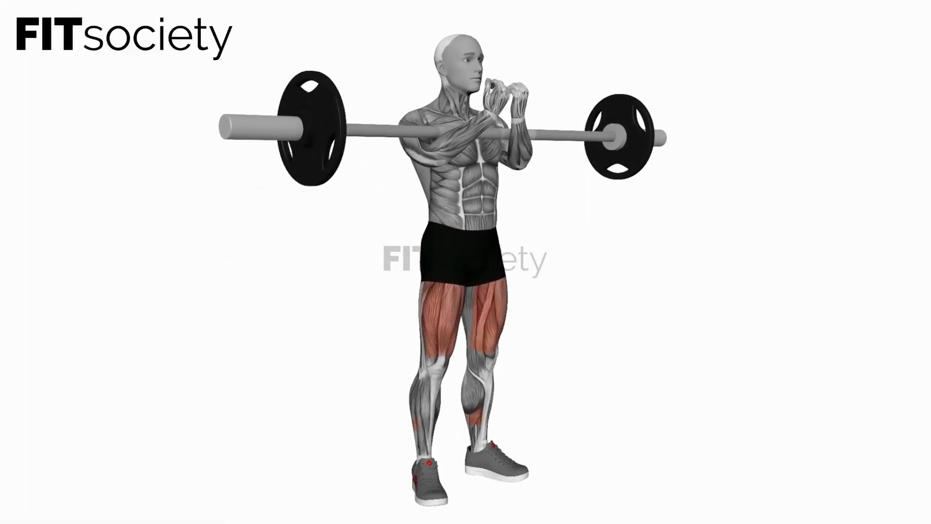 Barbell Zercher Squat