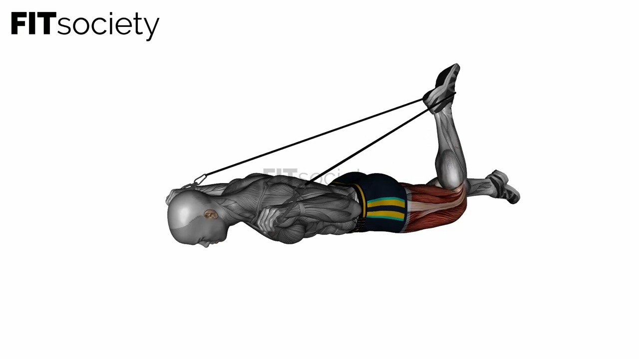 Intermediate Hip Flexor and Quad Stretch