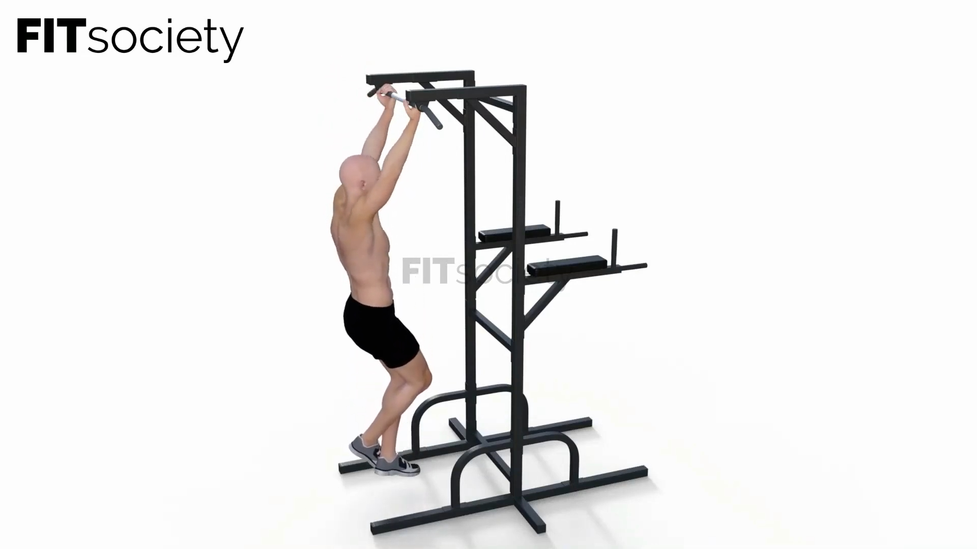 Reverse Pull-Ups