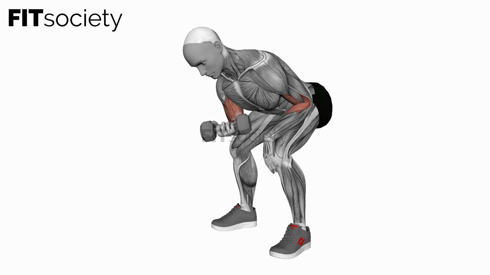 Dumbbell Standing One Arm Concentration Curl
