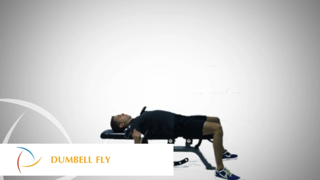Dumbbell Fly