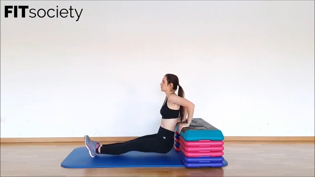 Triceps Push Up On A Bench