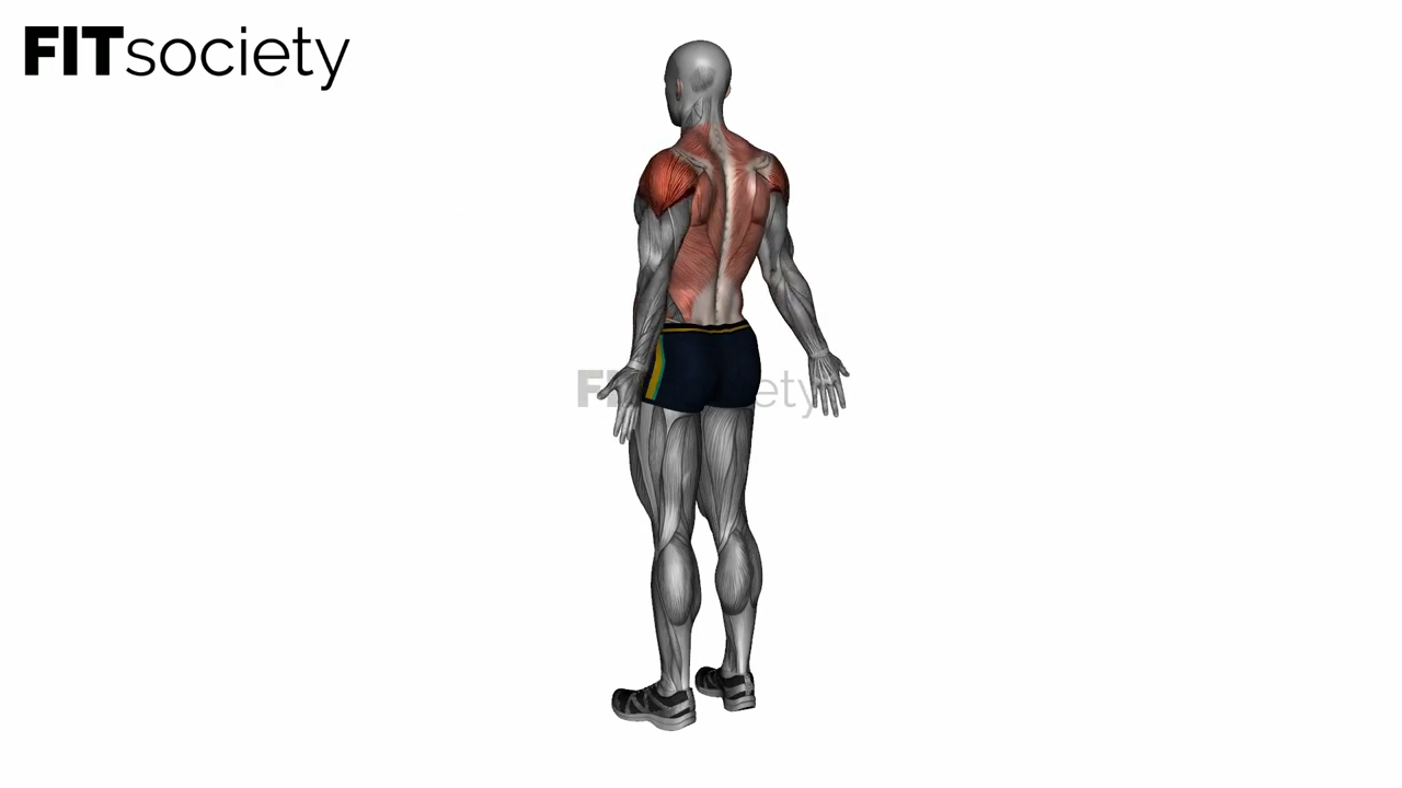 Upper Back Stretch