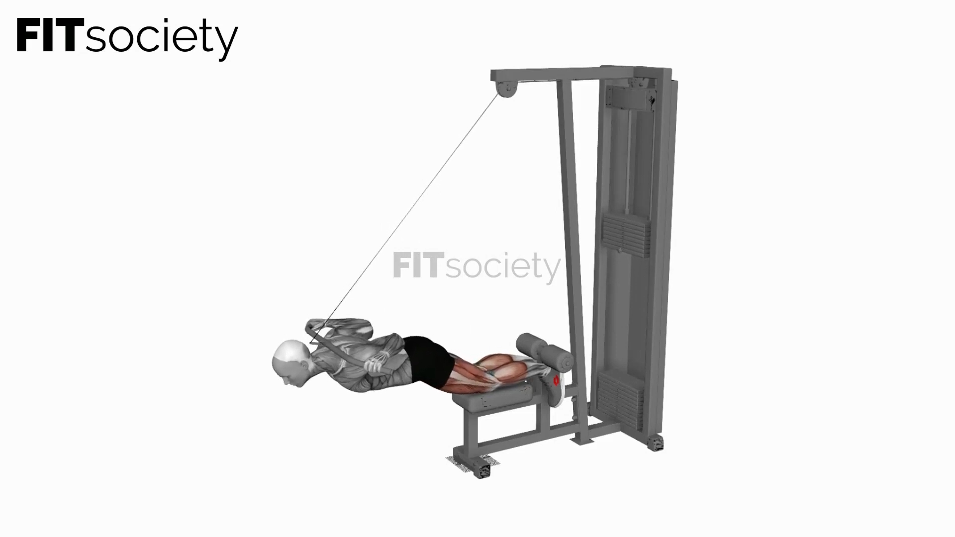 Cable-Assisted Inverse Leg Curl