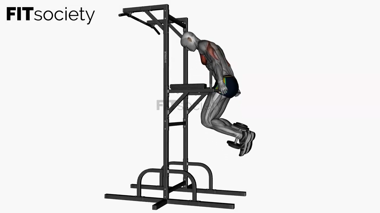 Weighted Slow Chest Dip