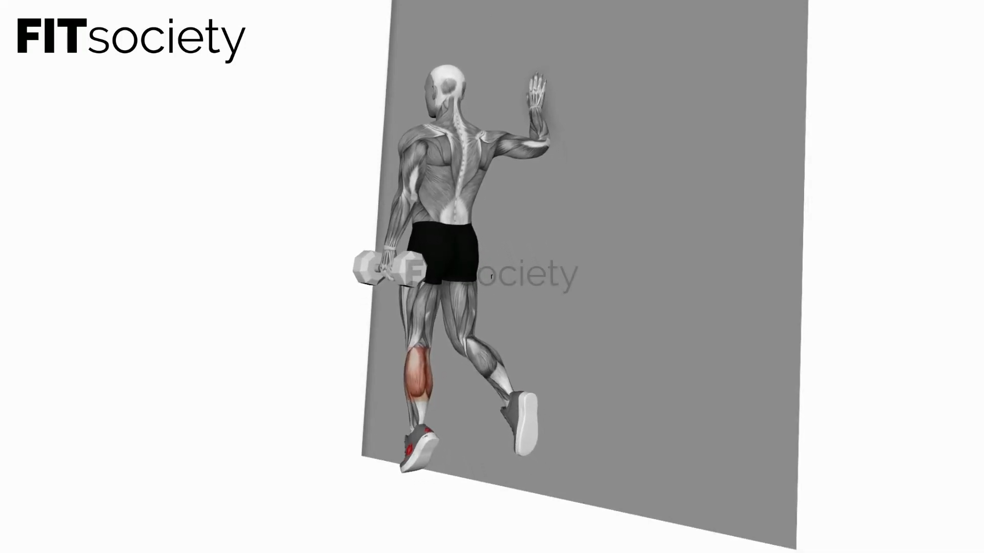 Dumbbell Single Leg Calf Raise Wall Support