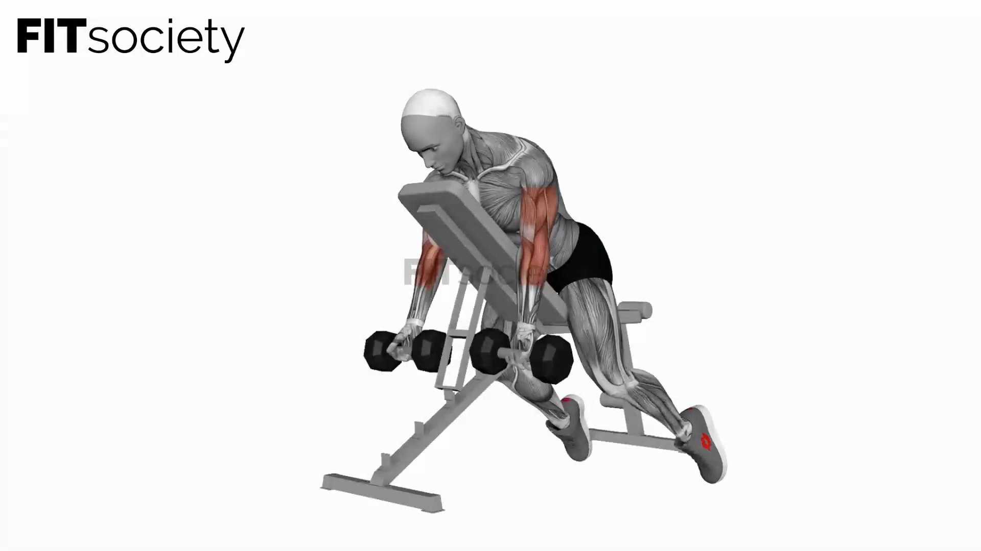 Dumbbell Prone Incline Curl