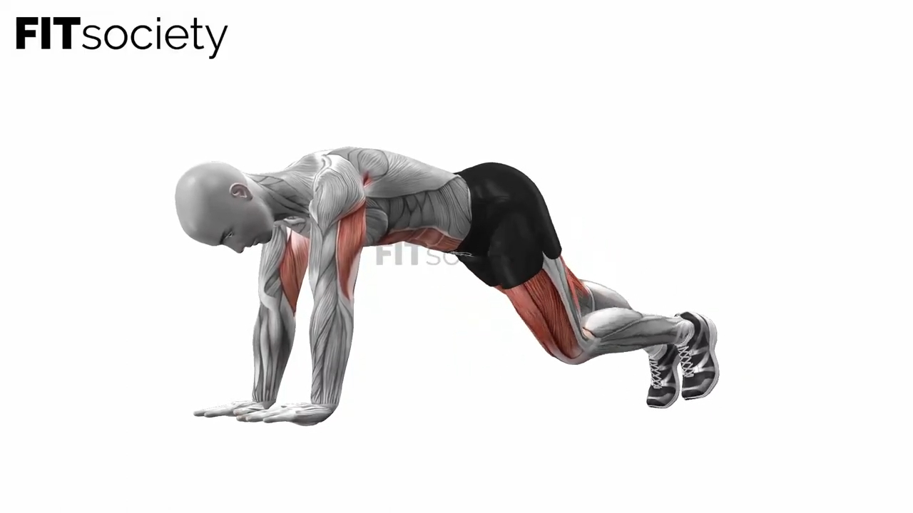 Alternating Plank Lunge