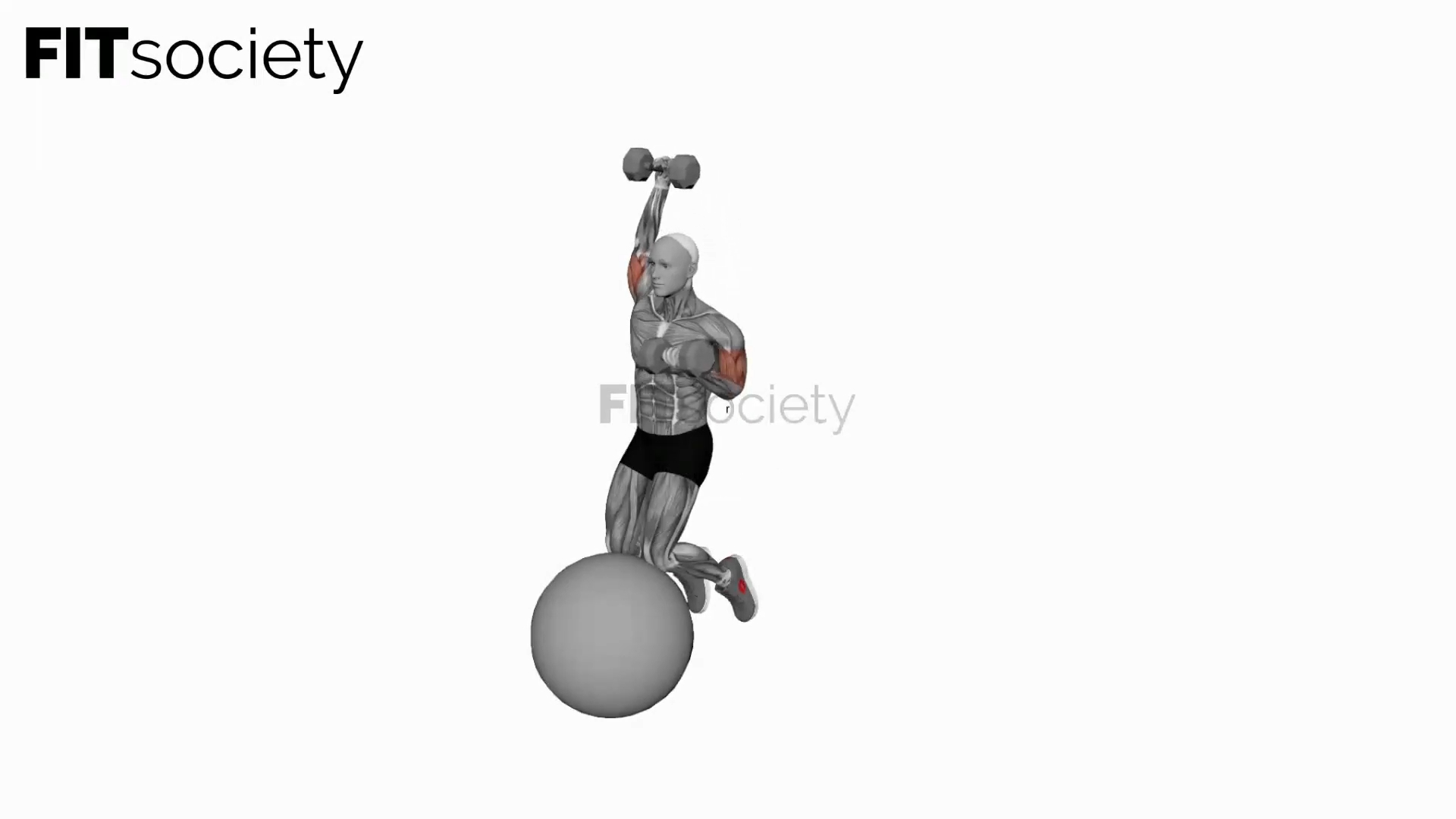 Dumbbell Biceps Curl With Overhead Extension On Stability Ball