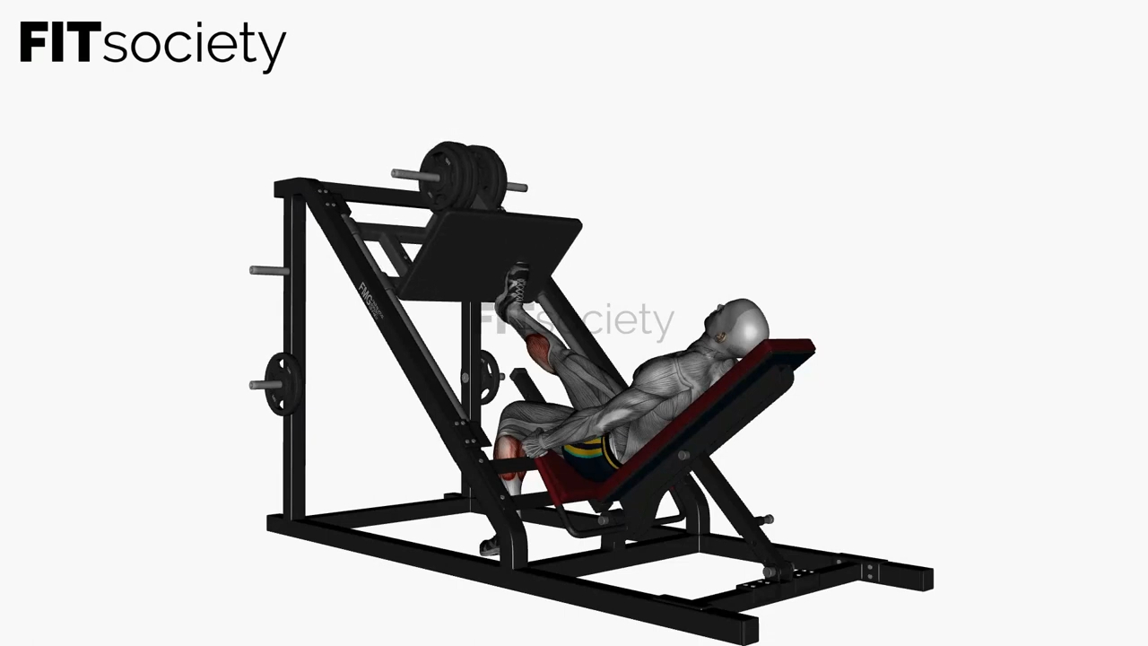 Single Leg Calf Raise Leg Press Machine