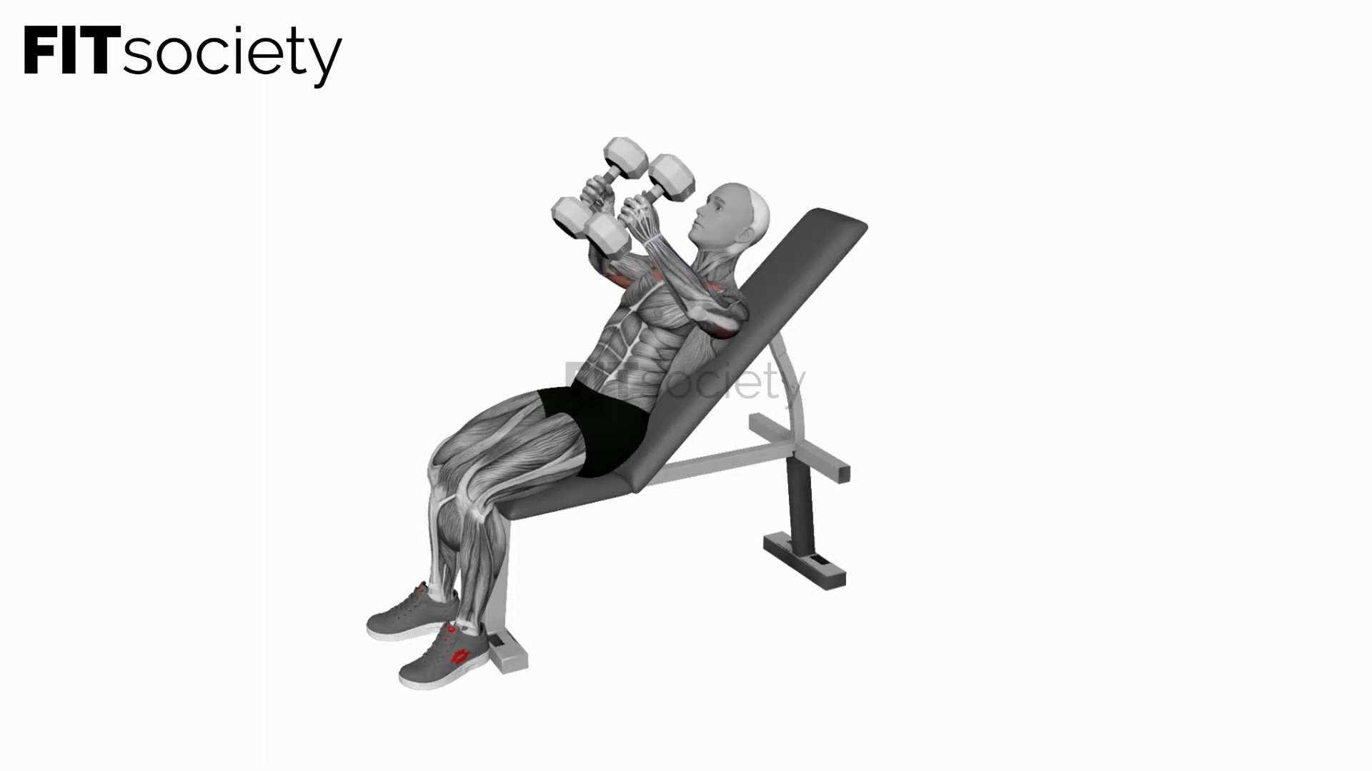 Dumbbell Incline Hammer Shoulder Press