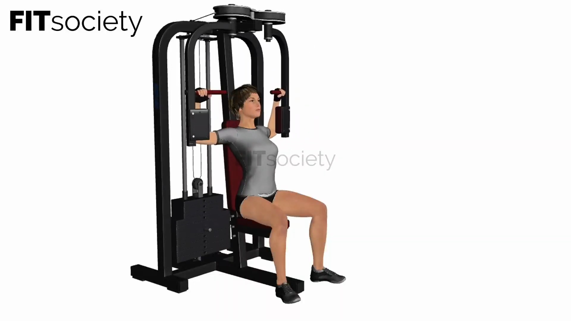 Machine à pectoraux