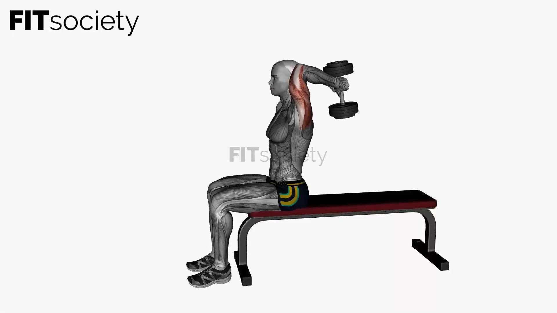 Dumbbell Overhead Extension Seated
