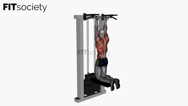 Assisted Chin-Up Normal-Width Underhand Grip