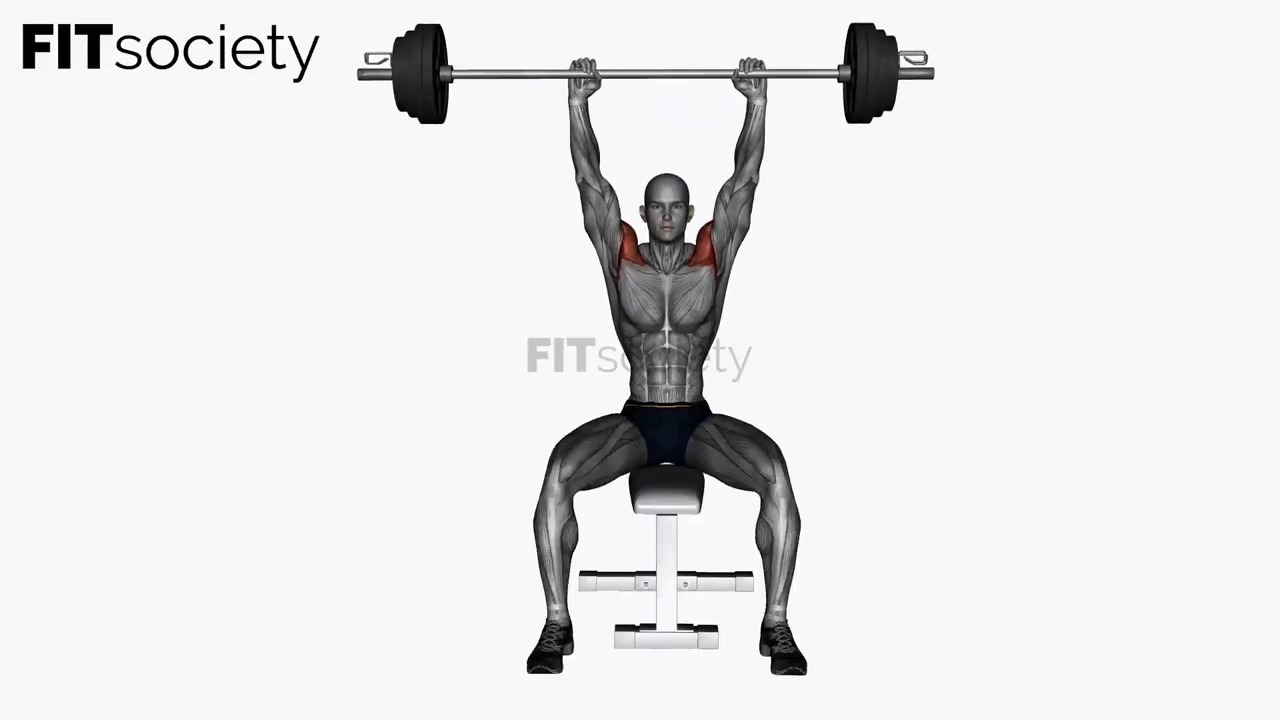 Seated Shoulder Press Barbell