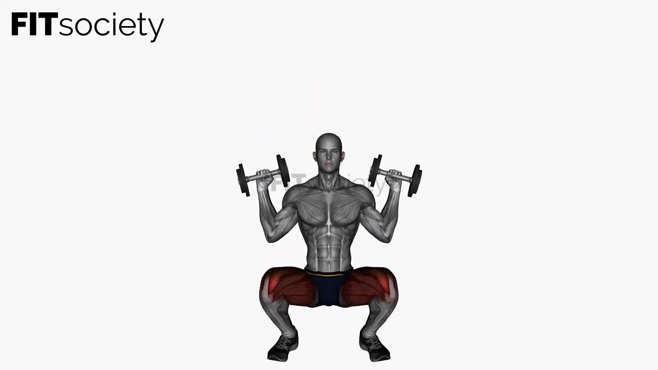 Front Squat avec haltères sur les épaules
