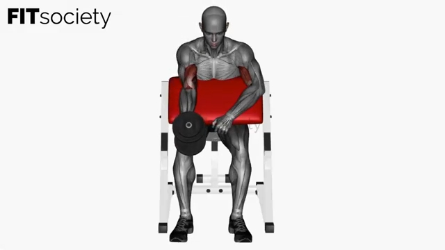 Single Arm Preacher Hammer Curl