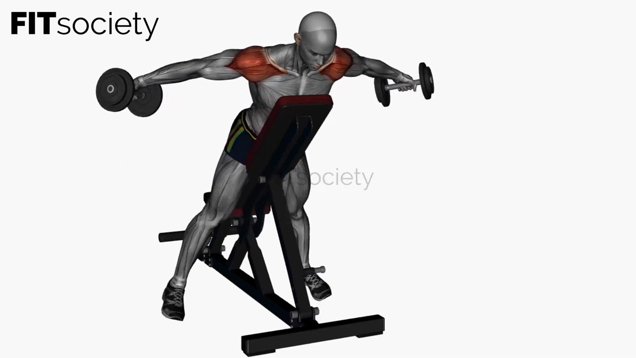 Prone Dumbbell Lateral Raise on Bench