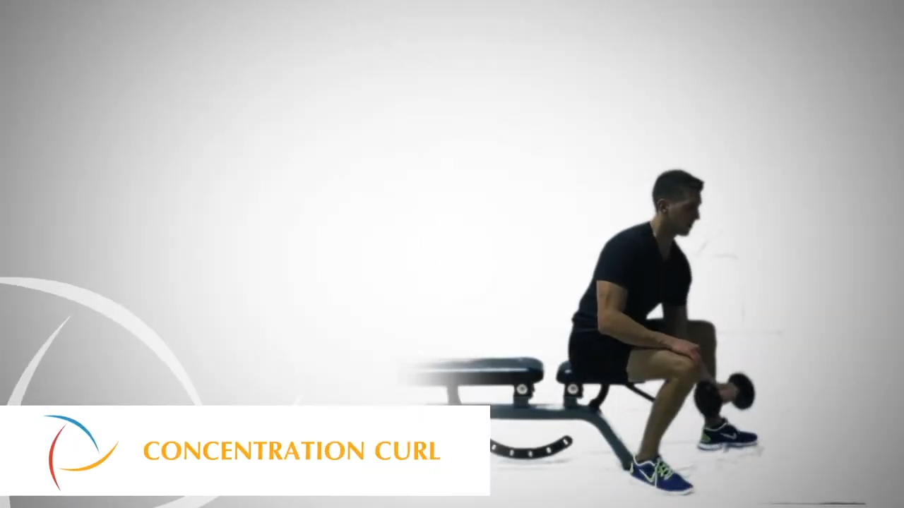 Konzentrationscurl