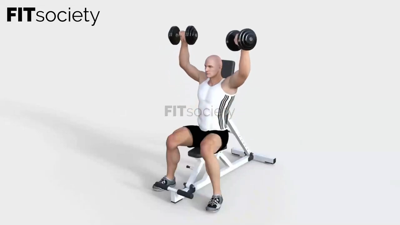 Seated Arnold Press