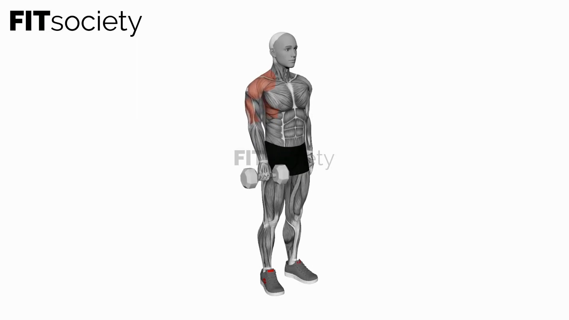 Dumbbell One-Arm Front Raise