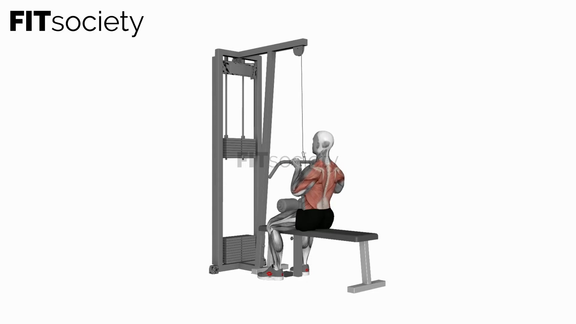 Cable Close-Grip Front Lat Pulldown