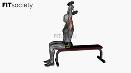 Dumbbell Overhead Extension Seated