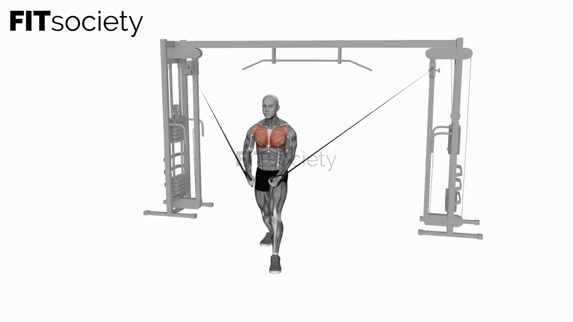 Cable Standing-Up Straight Crossovers