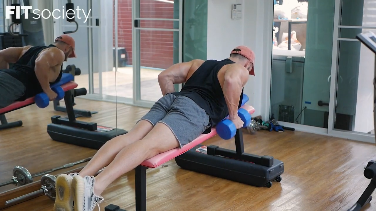 Dumbbell Rows Lying on Bench