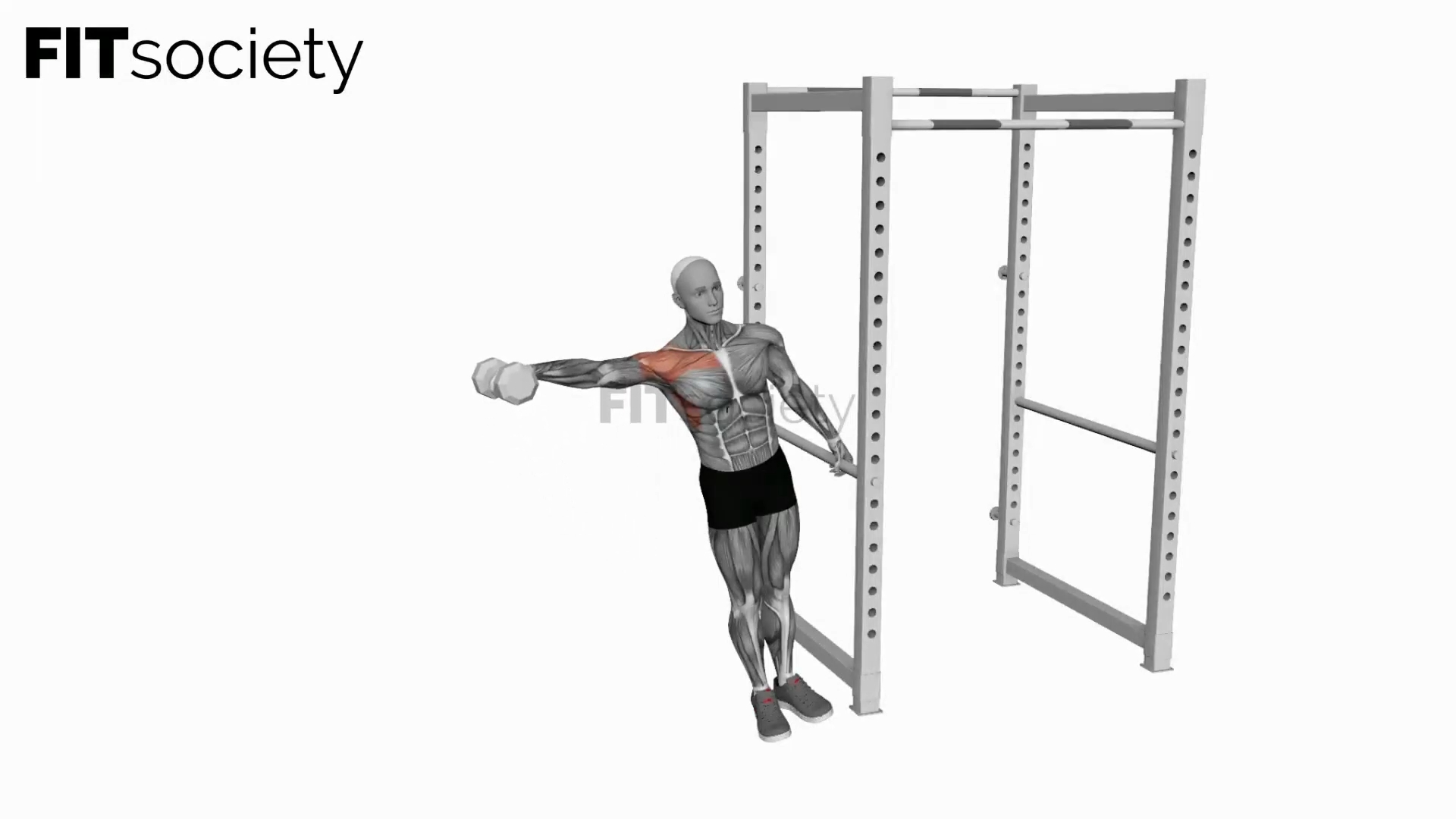 Dumbbell Single-Arm Leaning Lateral Raise