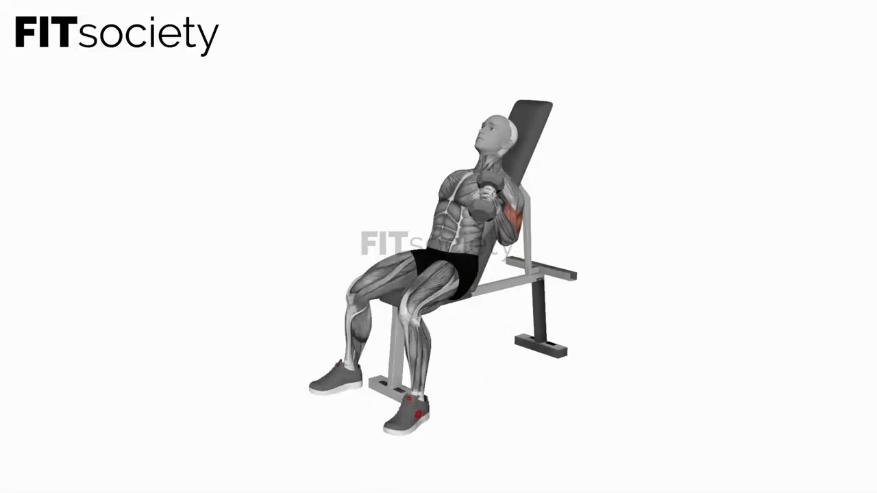 Dumbbell Incline Alternate Hammer Curl