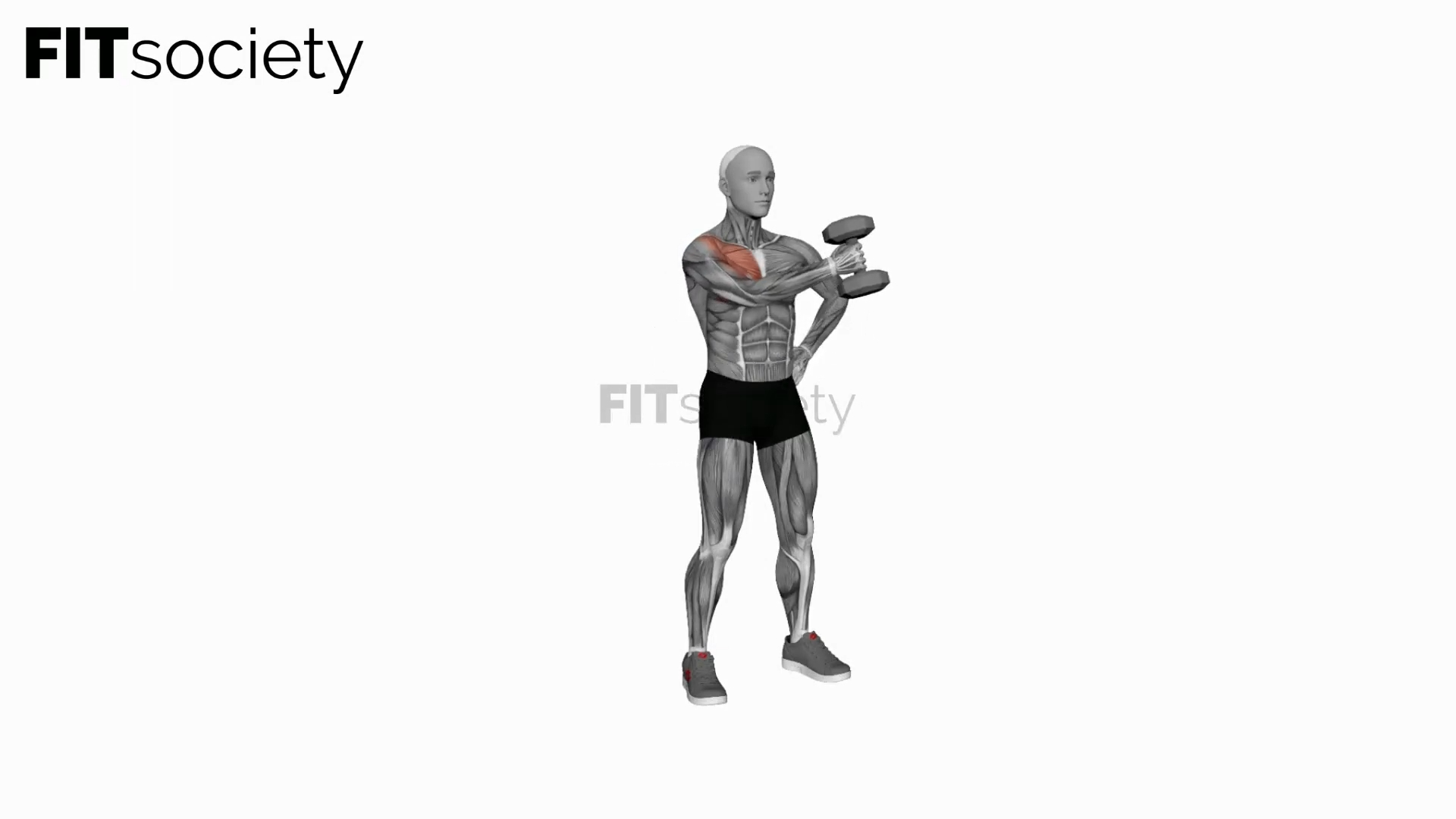 Dumbbell Standing Single Arm Cross Raise