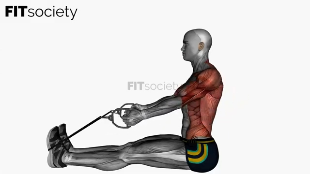 Rowing assis avec élastique de résistance – câble