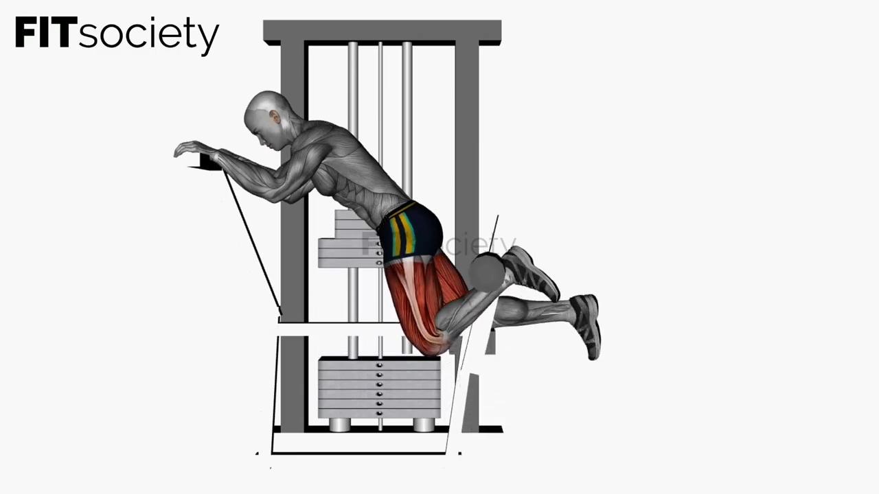 Kneeling Leg Curl Machine