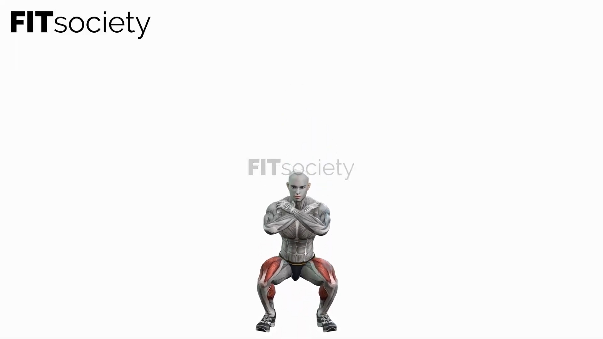 Bodyweight Squats