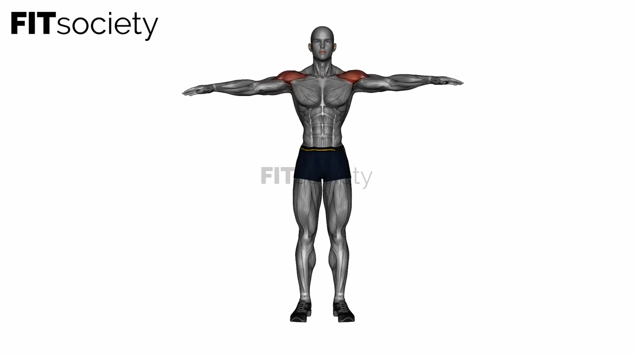 Across Chest Shoulder Stretch