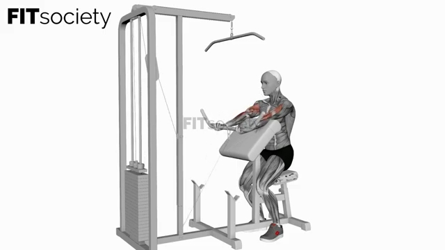 Cable Preacher Curl