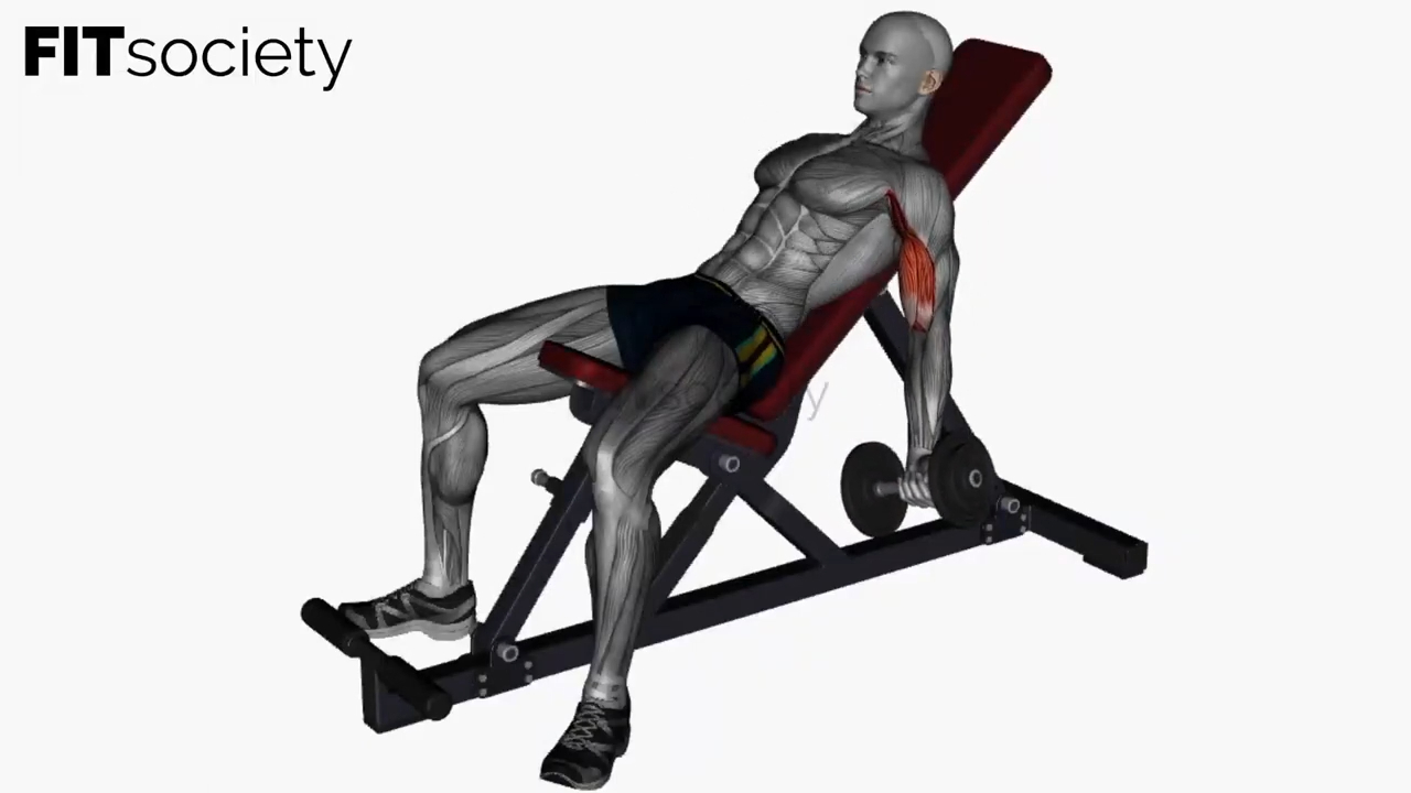 Alternate Incline Dumbbell Curl